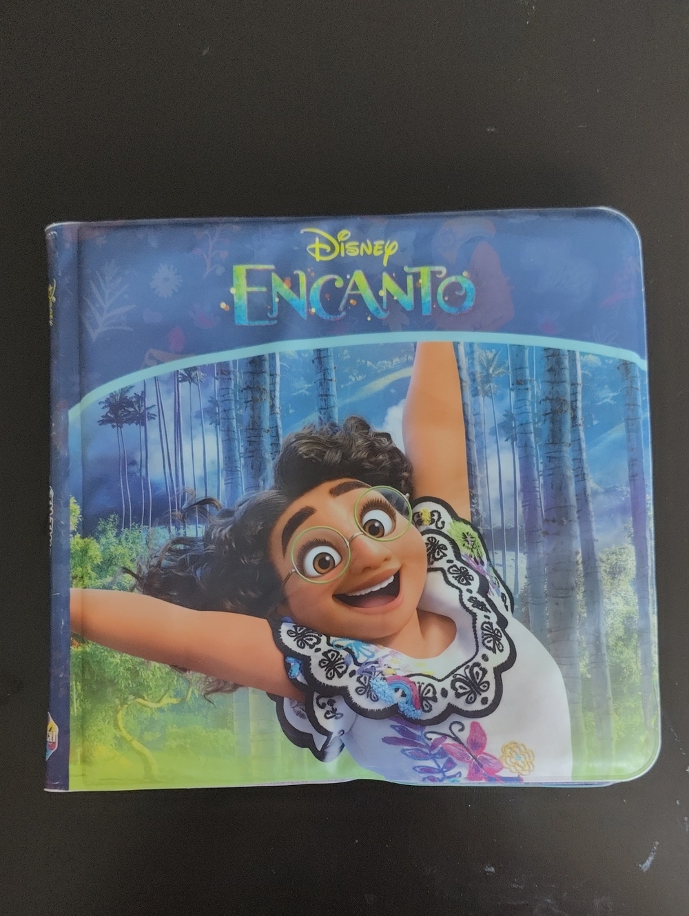 Disney Encanto Kids Book For Bath E4